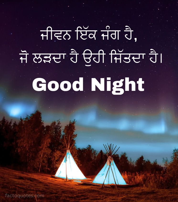 Punjabi Good Night Wishes for Friend