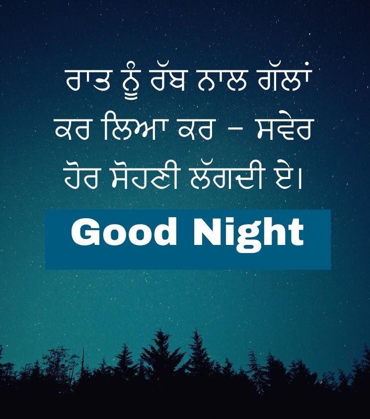 Punjabi Good Night Status