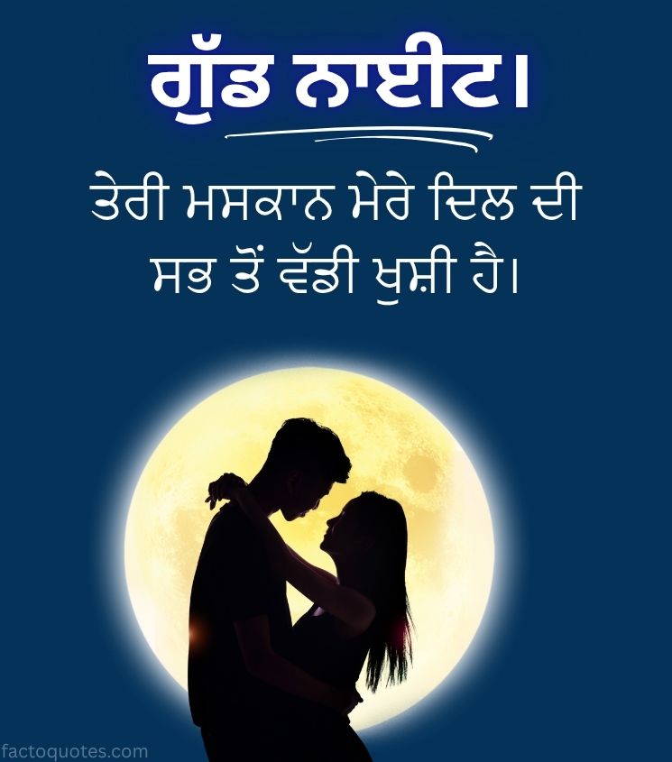Romantic Good Night Pics in Punjabi for Status
