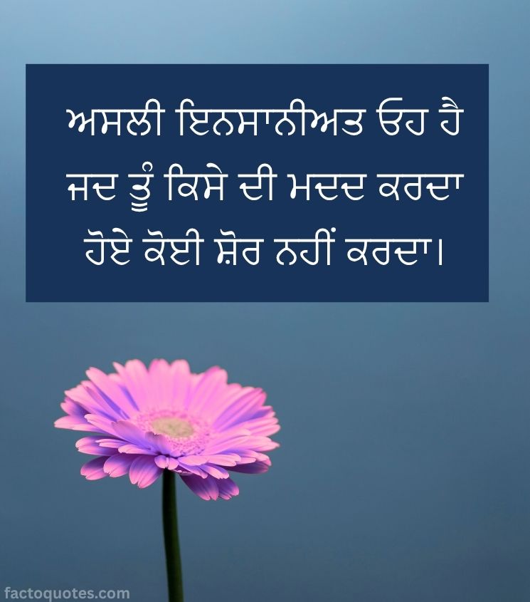 Meaningful Quotes on Life in Punjabi