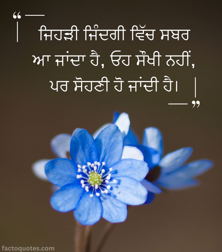 Life Quotes Status in Punjabi