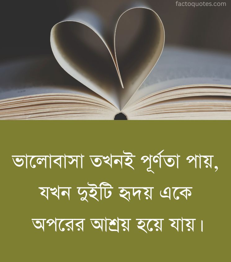 Relationship Quotes in Bangla Language