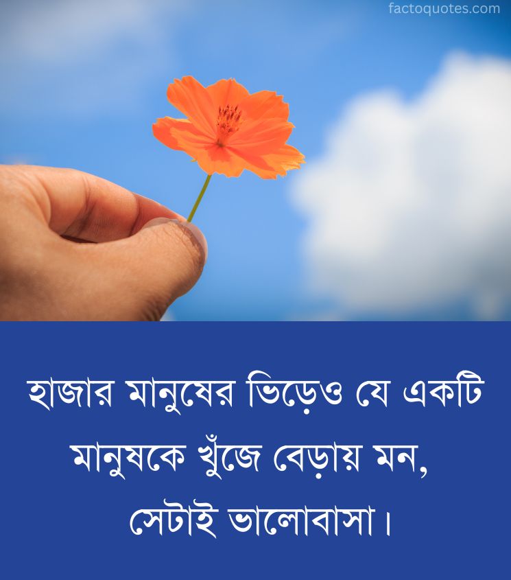 Best Relationship Quotes in Bangla for Status