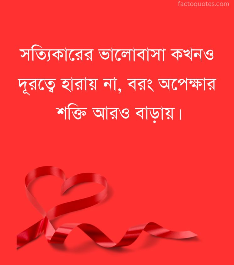 True Relationship Bengali Quotes for Couple