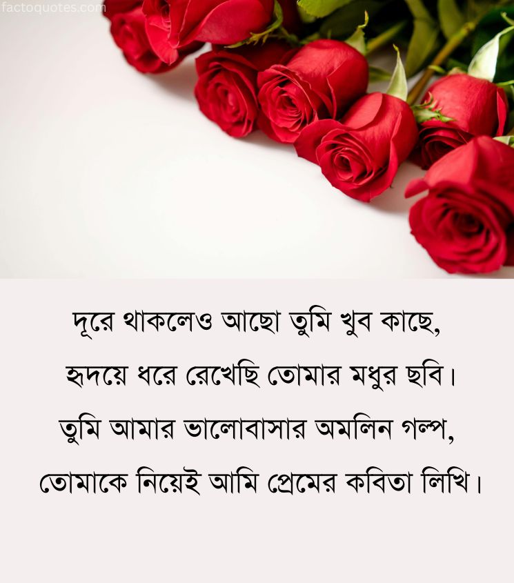 Romantic Poetry Shayari in Bengali for Lover