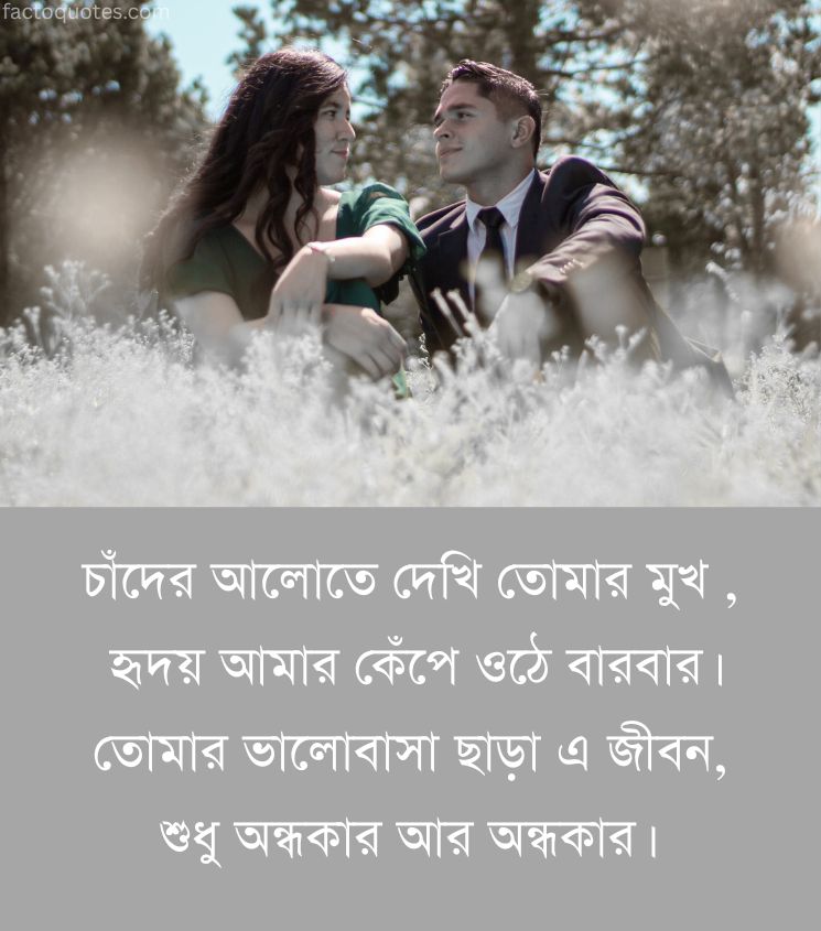 Bengali Romantic Shayari