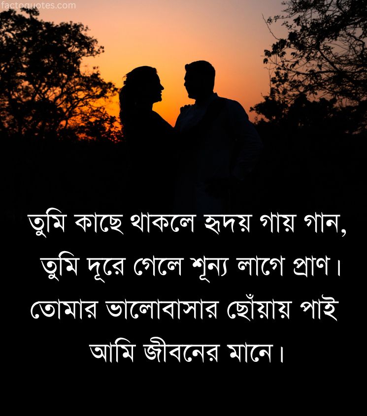 Romantic Love Poetry Bengali