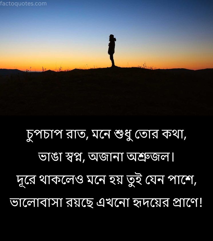 Sad Breakup Shayari in Bengali for Alone Lover