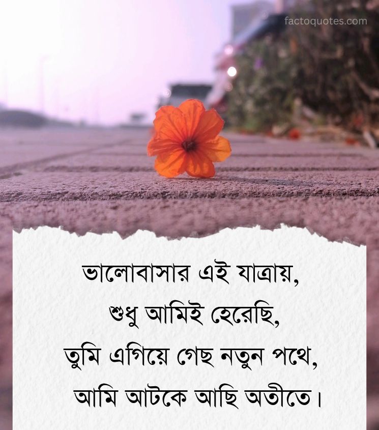 Alone Sad Shayari Bengali Pics