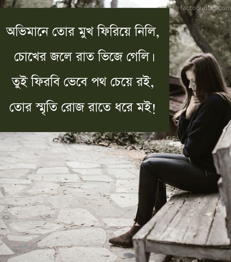 Bengali Emotional Shayari for Status