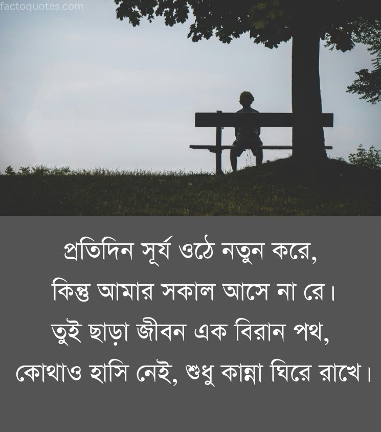 Sad Shayari Bengali for Boys