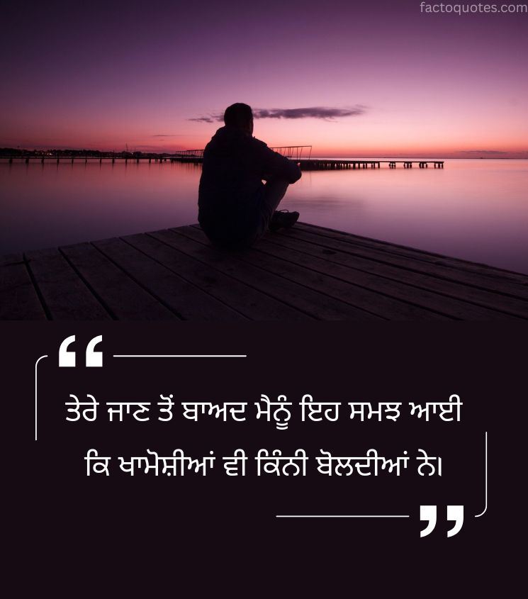 2 Line Punjabi Emotional Sad Quotes for Him
