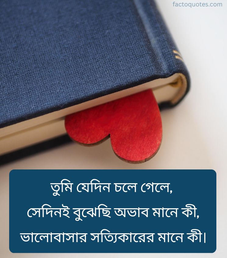 2 Line Bengali Miss You Quotes for Status