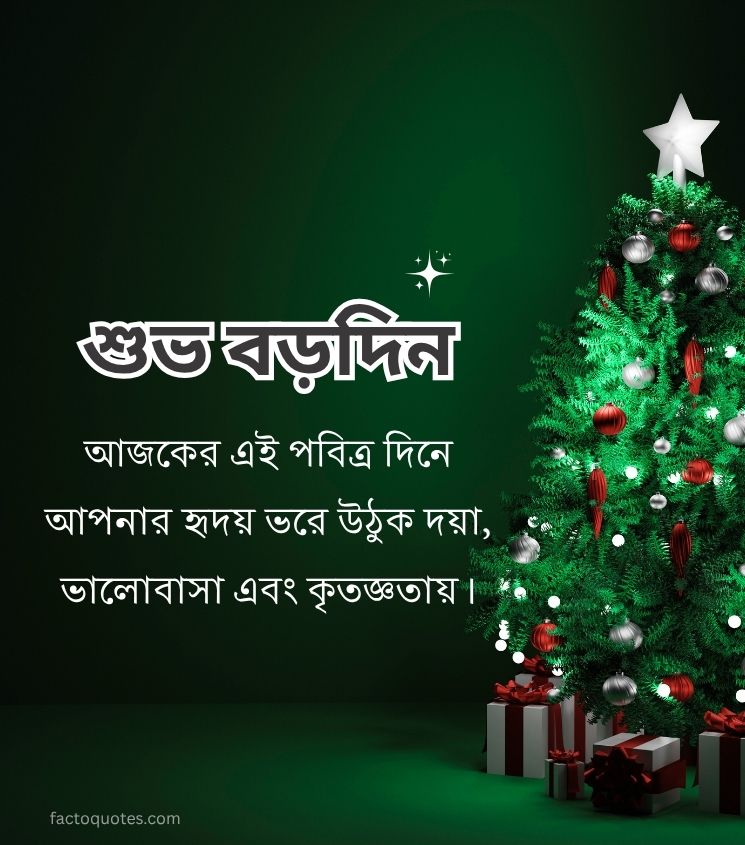 Merry Christmas Wishes in Bengali