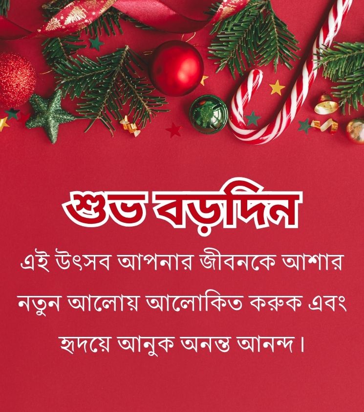 Merry Christmas Quotes in Bengali for Status