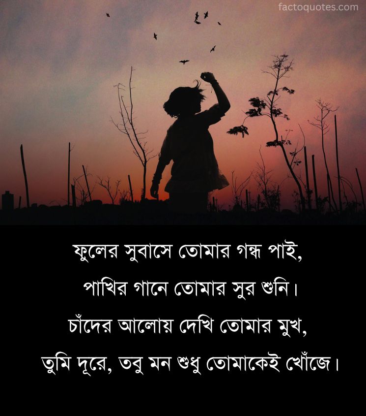 Love Alone Bengali Miss You Shayari for Lovers