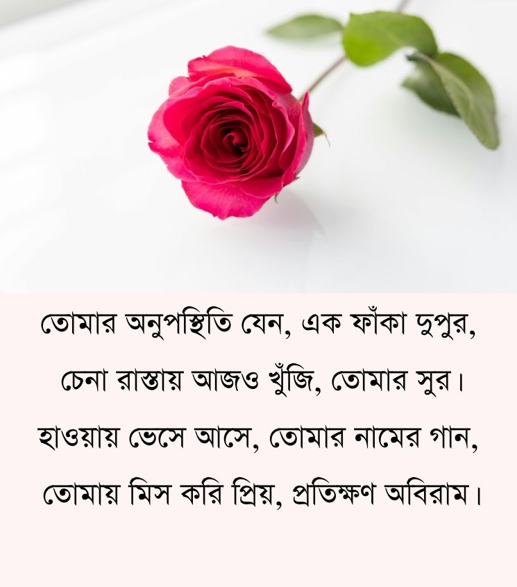 Love Miss You Shayari in Bengali
