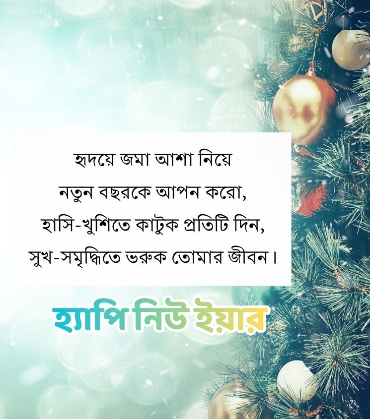 New Year Shayari in Bengali for Status