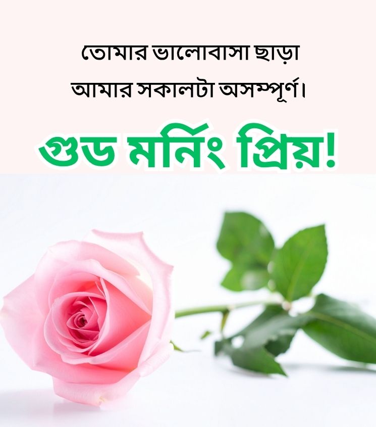 Gopal Phool with Love Good Morning greetings in Bengali for Status