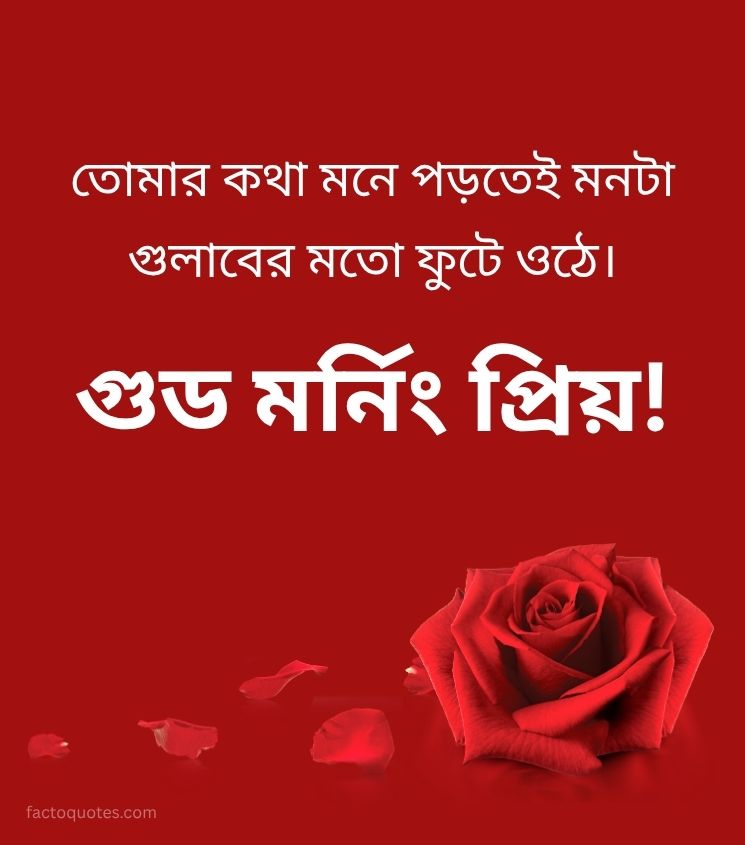 Love Good Morning Bengali Images with Romantic Lines