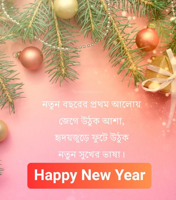 Happy New Year Shayari in Bangla