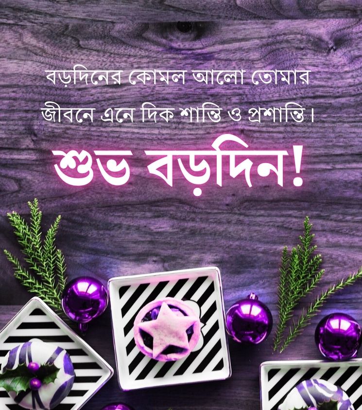 Subho Borodin Bengali Status