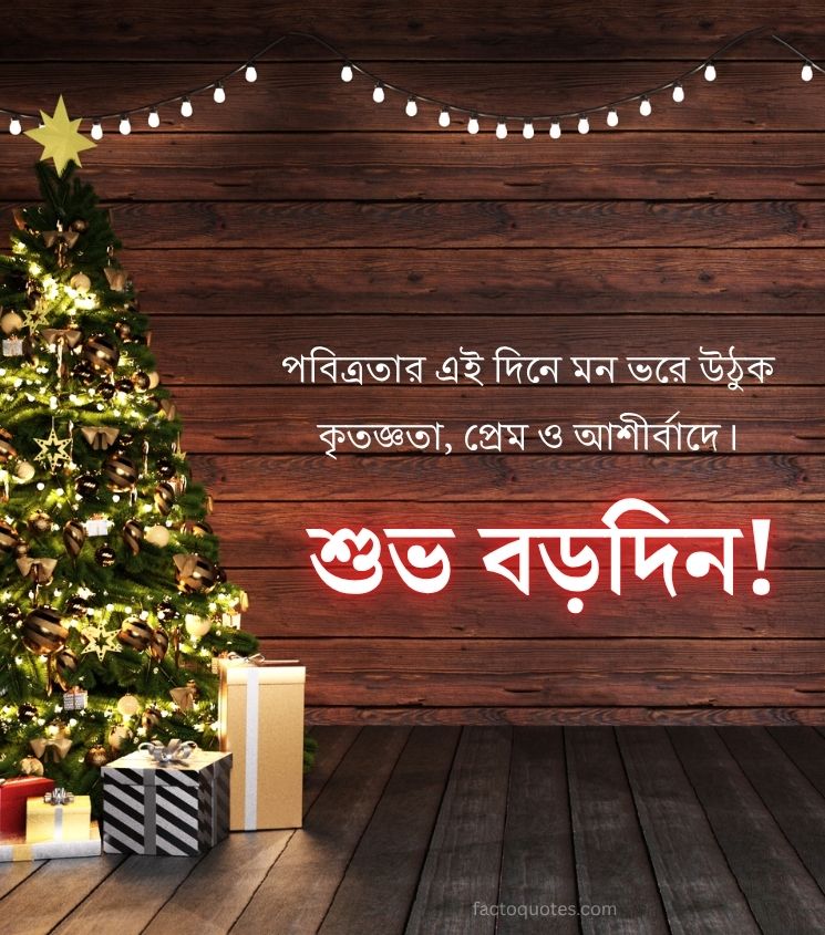 Subho Borodin Bengali Quotes
