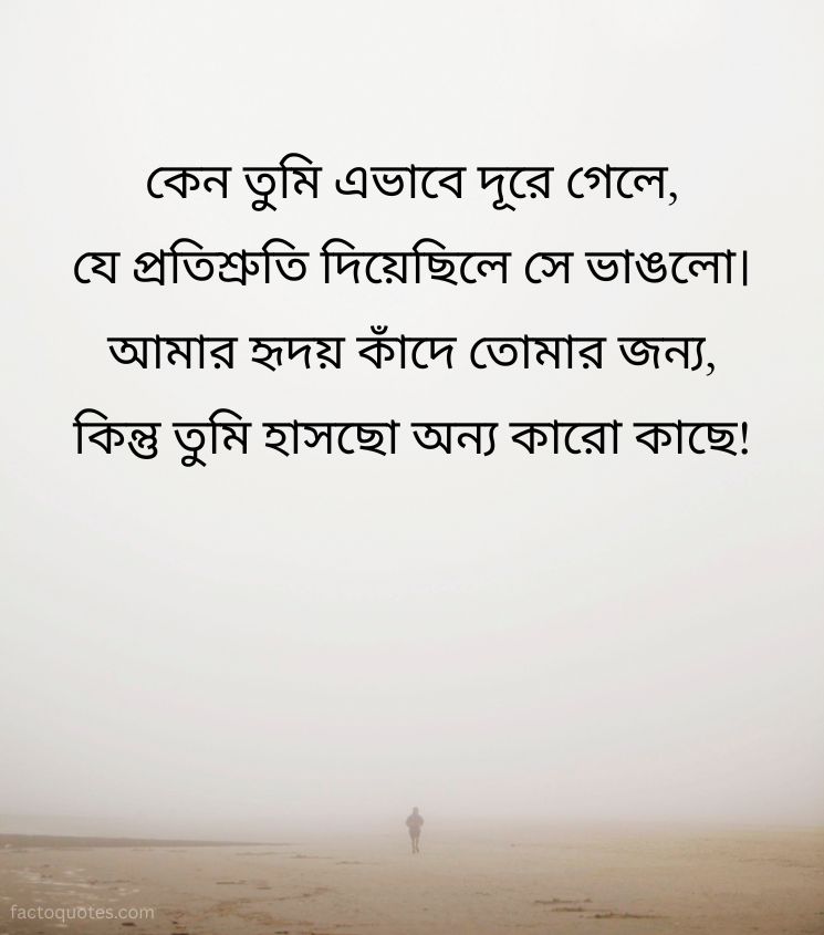 Bangla Sad Love Bewafa Status Shayari