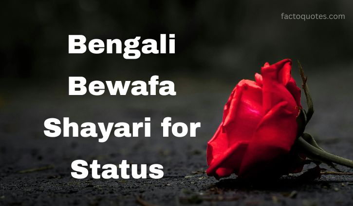 Bewafa Shayari in Bengali