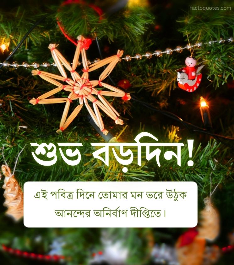 Subho Borodin Bengali Wishes for Friends