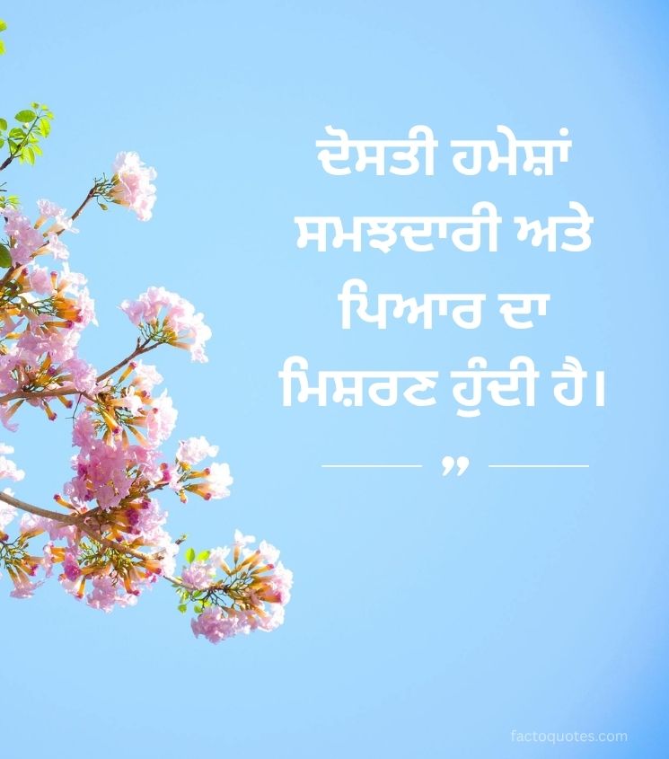 Best Inspiring Quotes for Friends in punjabi Language