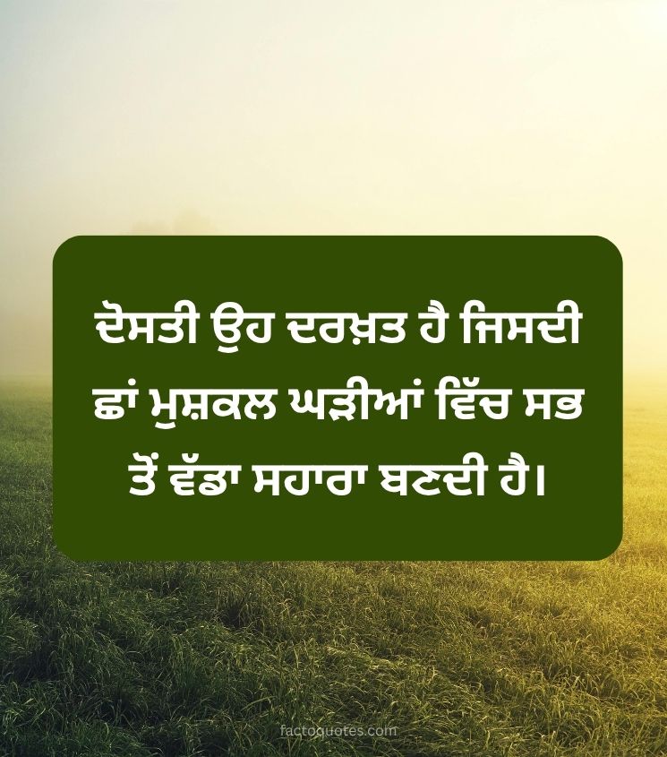 Friendship Status Images in Punjabi 