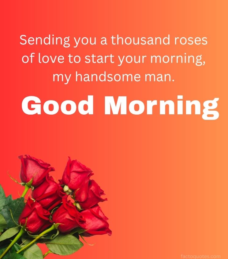 Love Good Morning Greetings with Roses