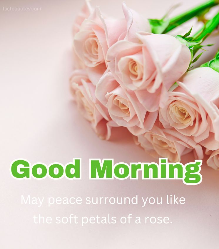 Love Good Morning Greetings with lite Pink Rose Flower