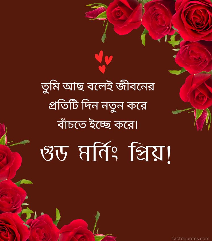 Love Good Morning Wishes in Bengali 