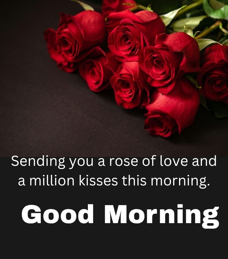 Red Rose Flower with Good Morning Wishes for Him
