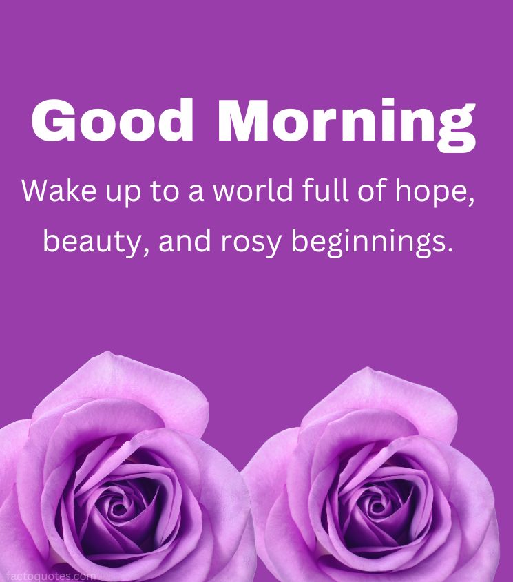 Good Morning Rose Images for Girlfriend