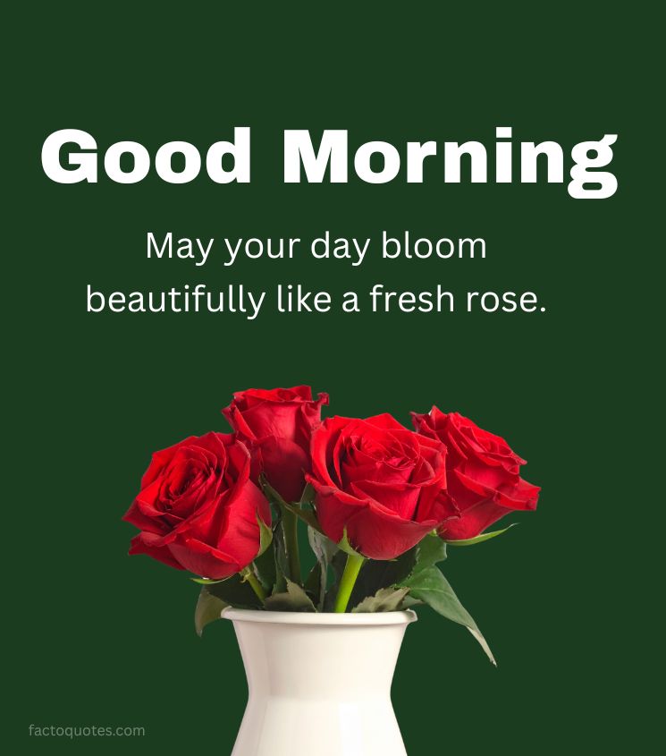 Red Roses with Good morning inspiring Quotes for Him