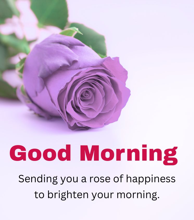 Rose with Good Morning Images for lover