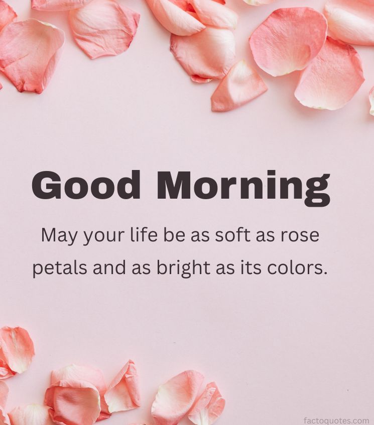 Romantic Good morning greetings with Rose petals