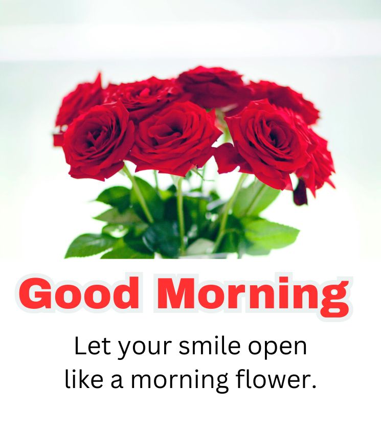 Roses Bouquet Good Morning Love Quotes