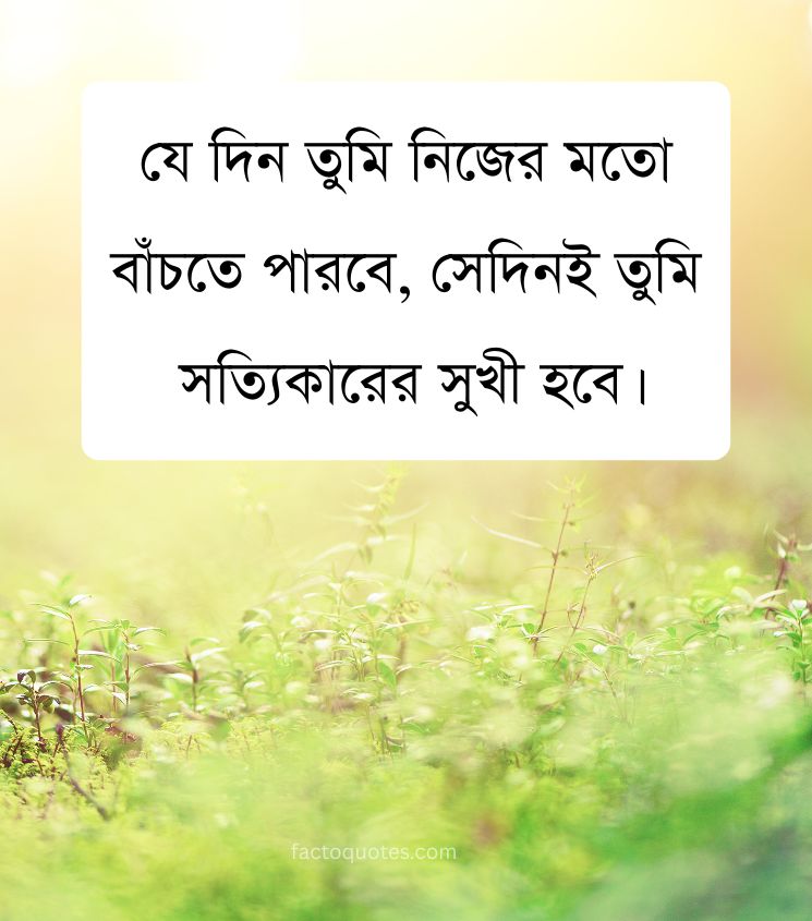Happiness Quotes in Bangla