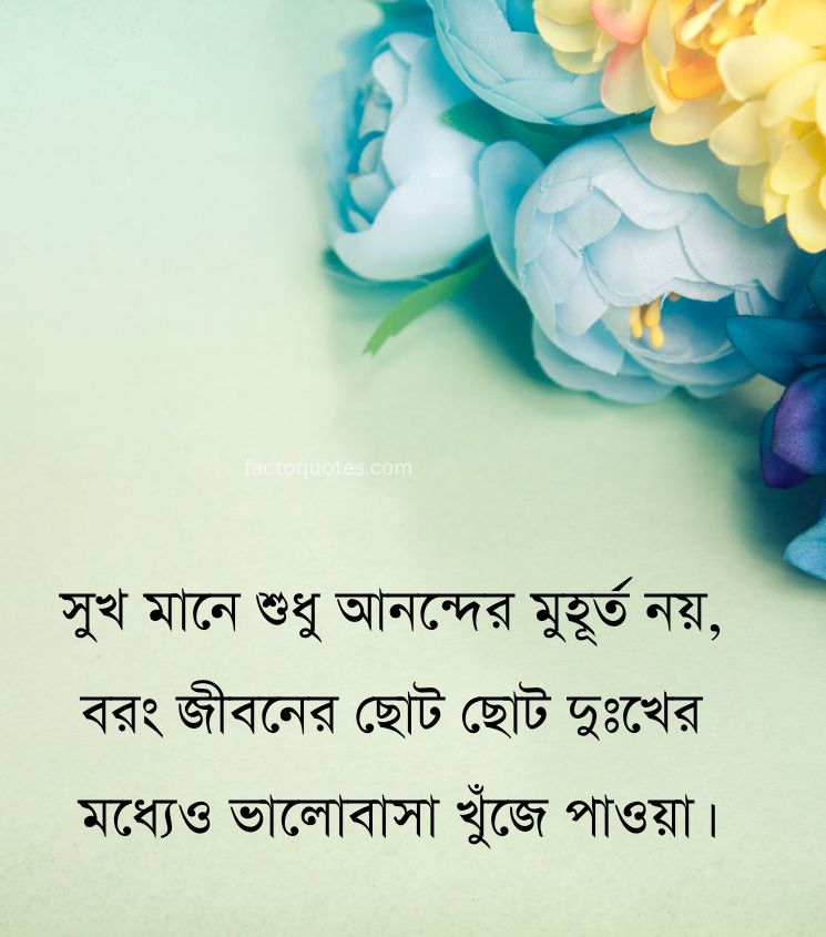 Happiness Quotes in Bangla for Status
