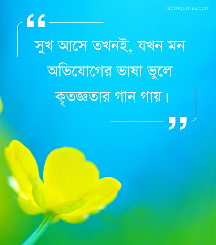 Happy Quotes in Bengali for Status