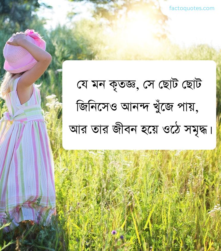 Happy Quotes in Bengali for Status