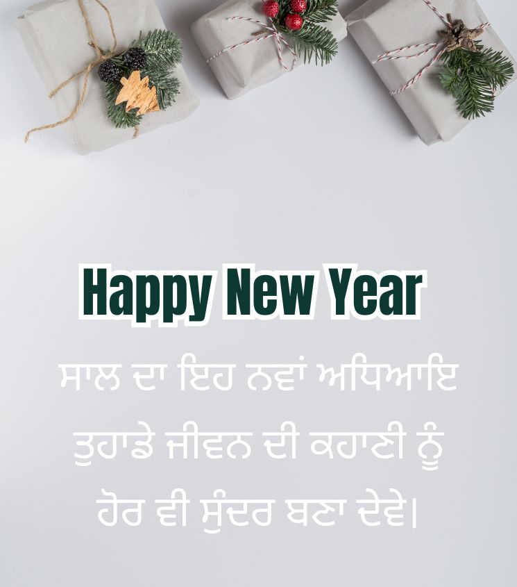 Happy New Year Status Images in Punjabi