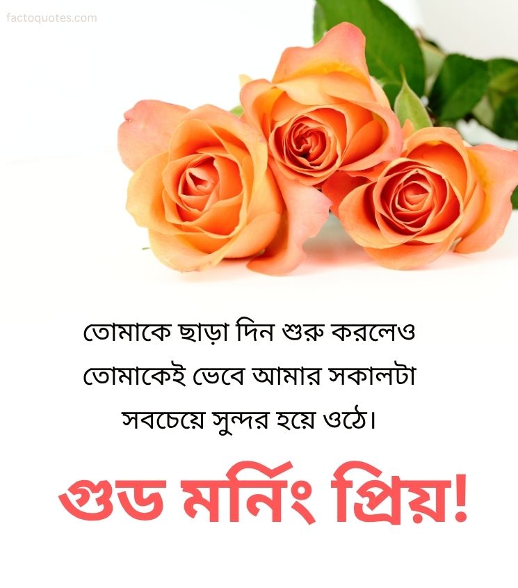 Good Morning greetings in Bengali with Roses 