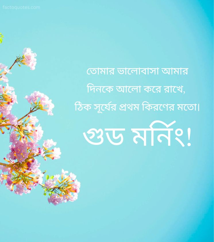 Beautiful Good Morning pics in Bengali for Love