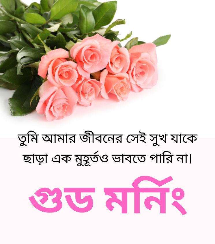 Rose with Good Morning Love Images in Bengali for Girlfriend