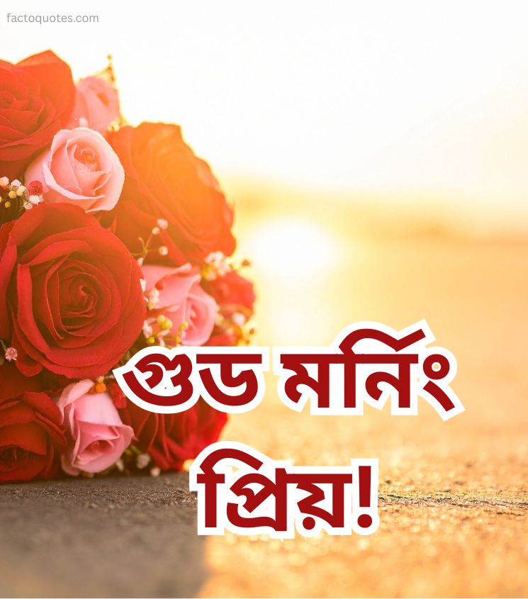 Good Morning Love Images in Bengali